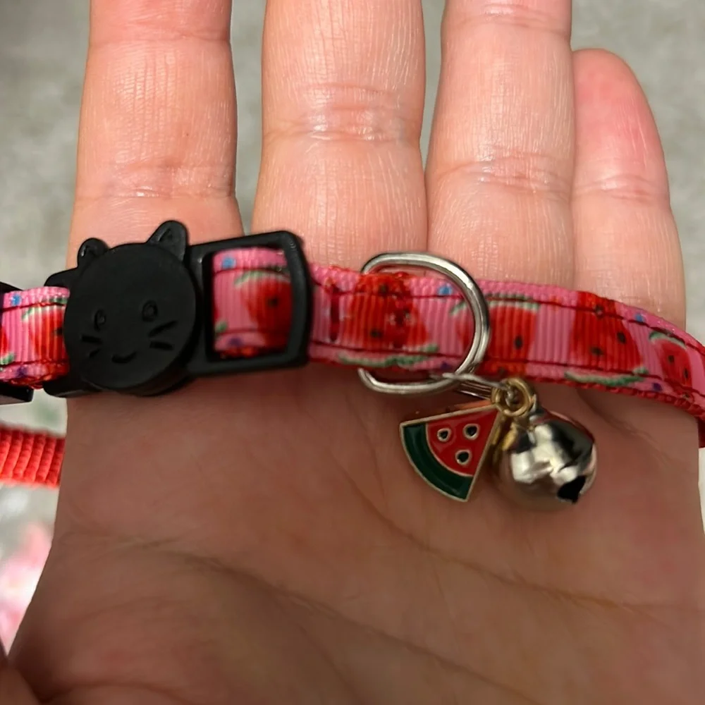 Two cat collars